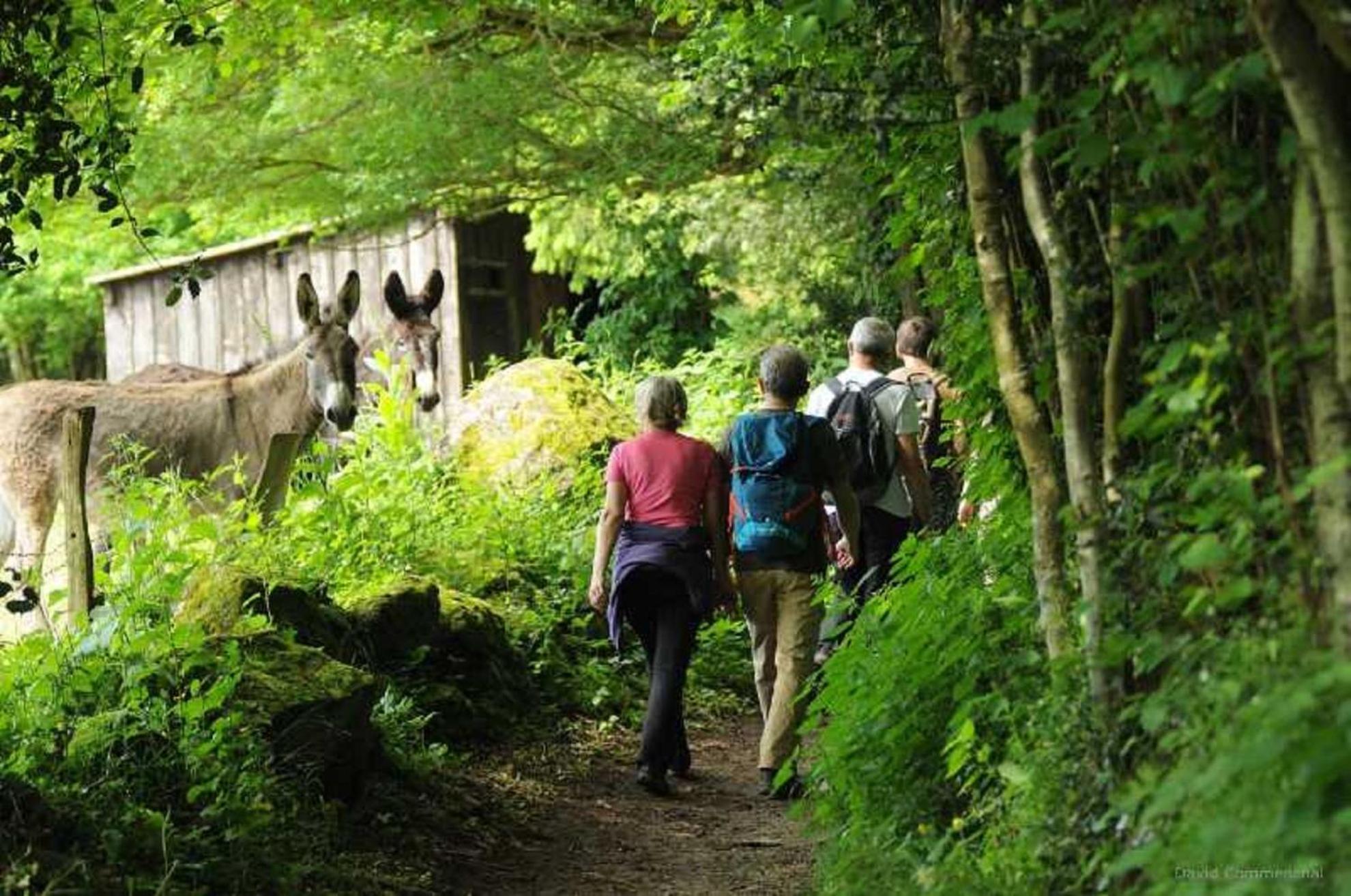 Gite De Fourneaux Pont-d'Ouilly Exteriör bild